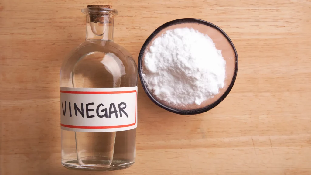 How to Clean Krups Espresso Machine with Vinegar