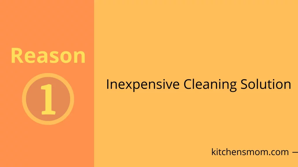 Inexpensive Cleaning Solution