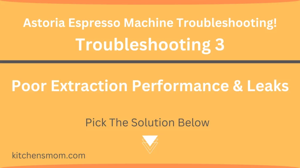 Astoria Espresso Machine Troubleshooting - Poor Extraction Performance Leaks